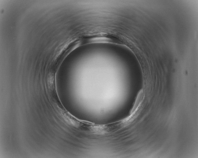 X0000062870192200601131451