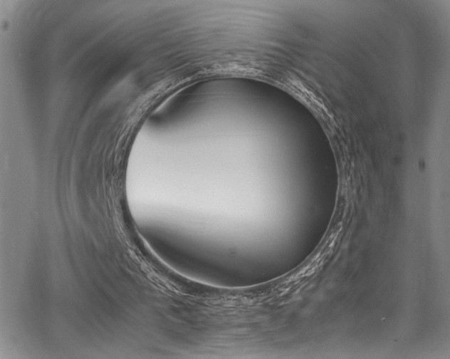 X0000062870193200601131450