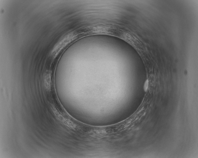 X0000062870194200601131450