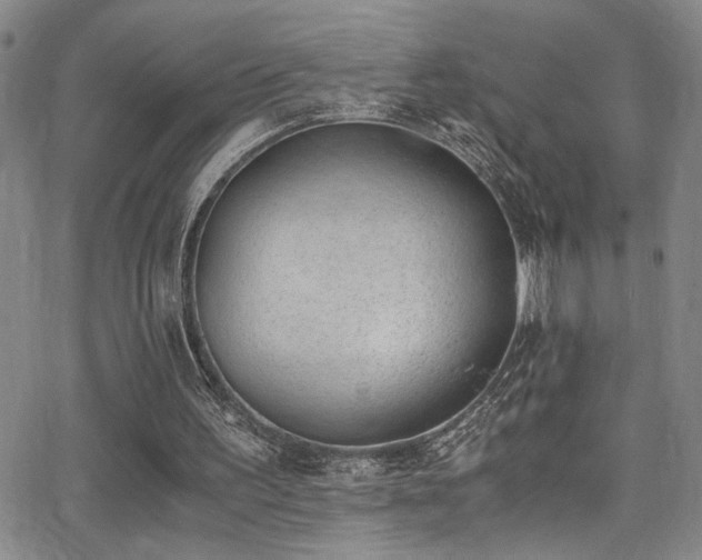 X0000062870195200601131450