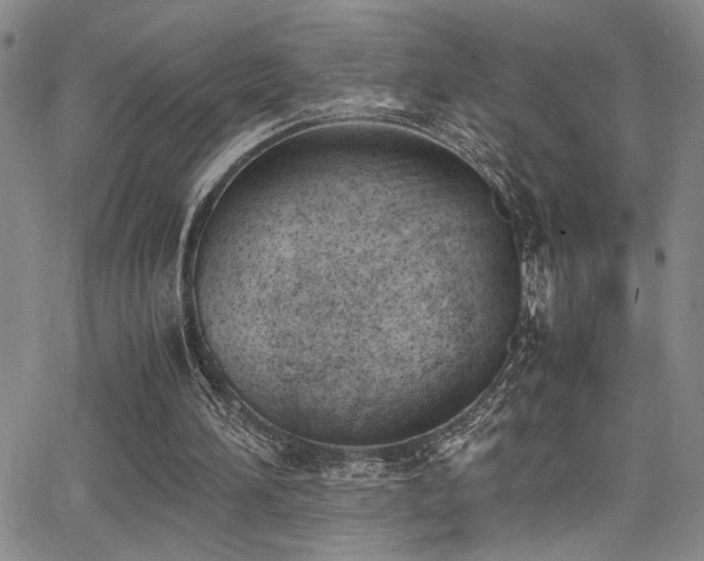 X0000062870196200601131450