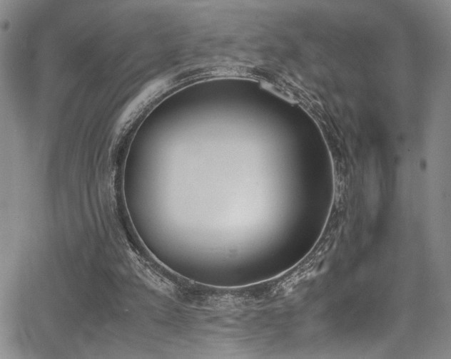 X0000062870197200601131450