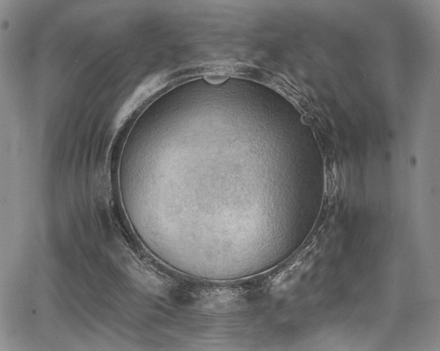 X0000062870198200601131450