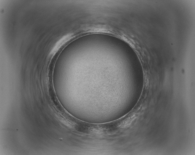 X0000062870199200601131450