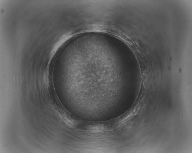 X0000062870200200601131450