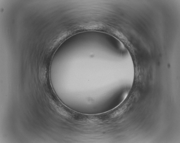 X0000062870201200601131450