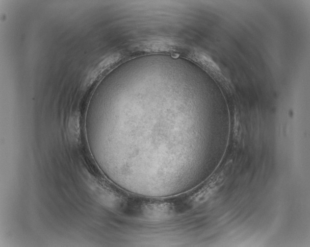 X0000062870202200601131450