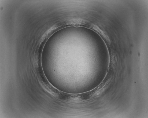 X0000062870203200601131450