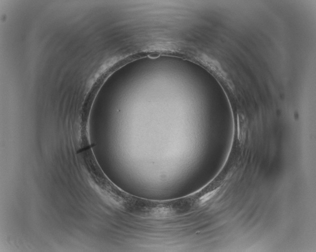 X0000062870204200601131450