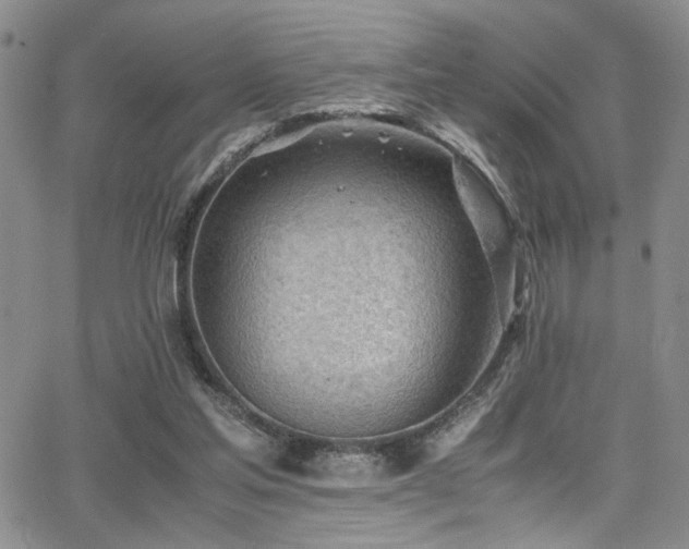 X0000062870205200601131450