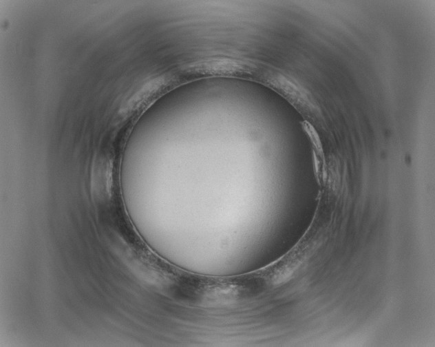 X0000062870206200601131450