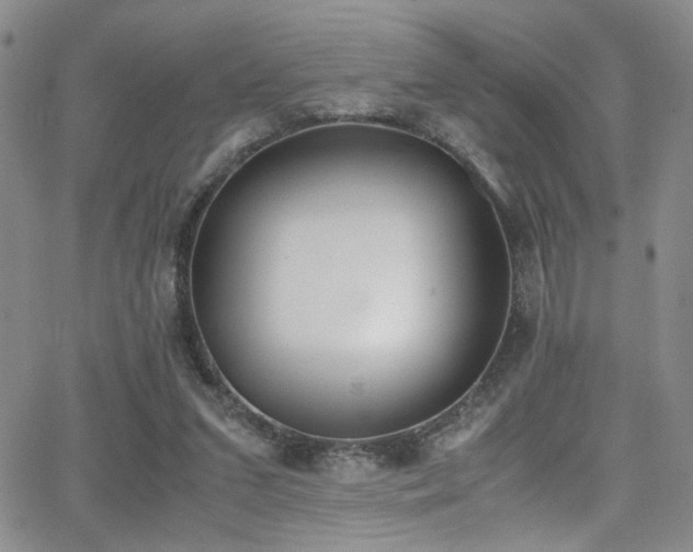 X0000062870207200601131450