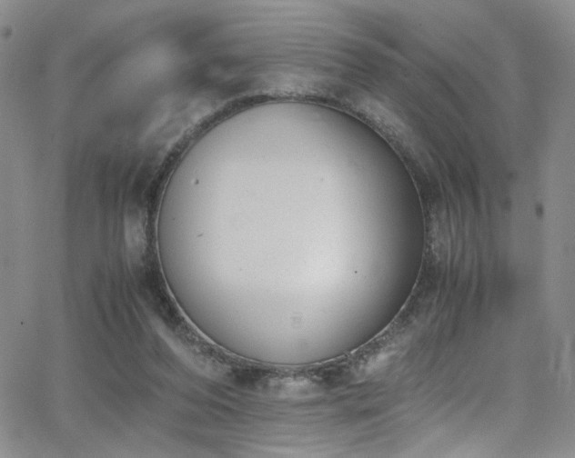 X0000062870208200601131450