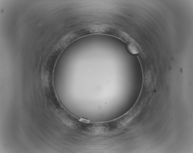 X0000062870209200601131450