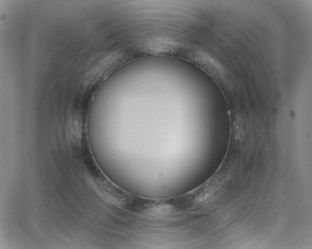 X0000062870210200601131450