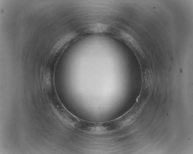 X0000062870212200601131450