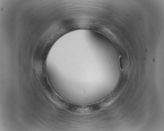 X0000062870213200601131450