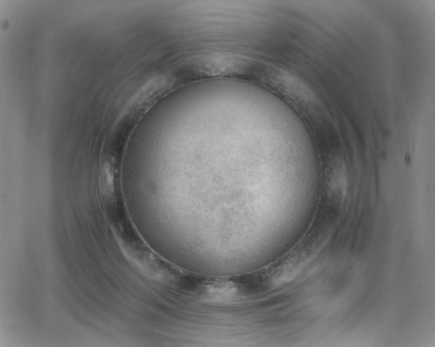 X0000062870214200601131450