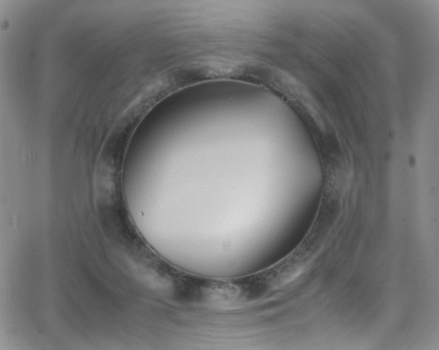 X0000062870215200601131450