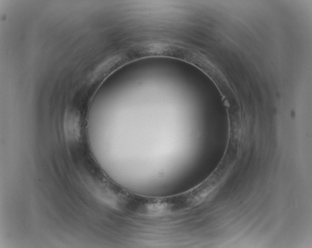 X0000062870216200601131450