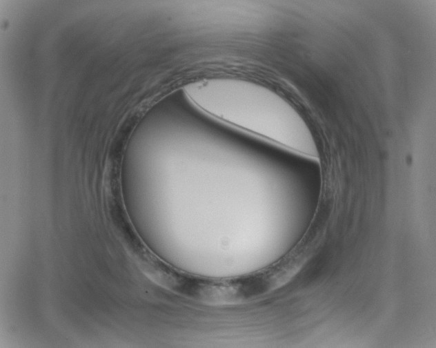 X0000062870217200601131450