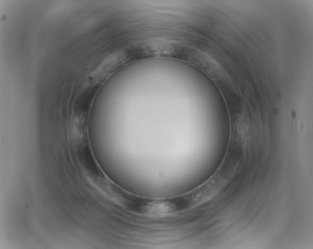 X0000062870218200601131450