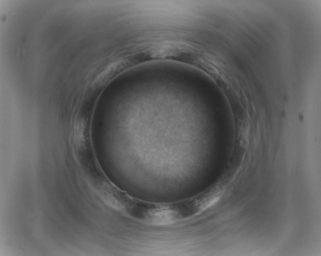 X0000062870219200601131449