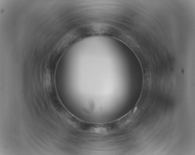 X0000062870220200601131449