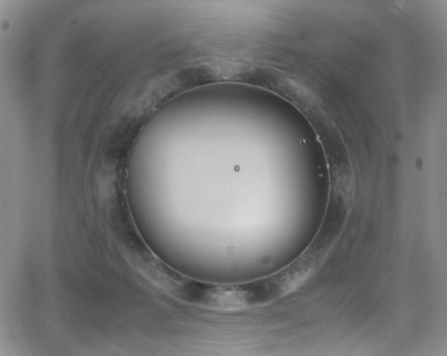 X0000062870221200601131449