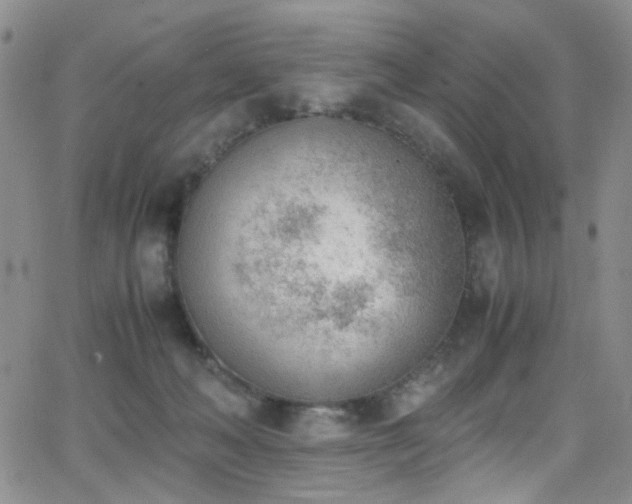 X0000062870222200601131449