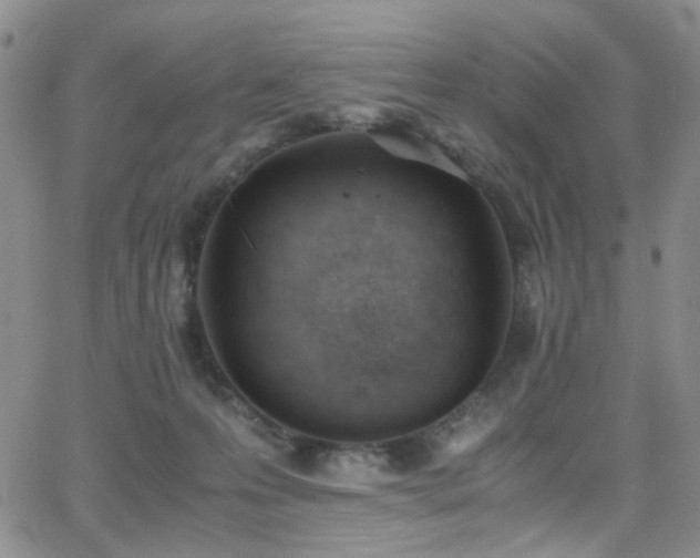 X0000062870223200601131449