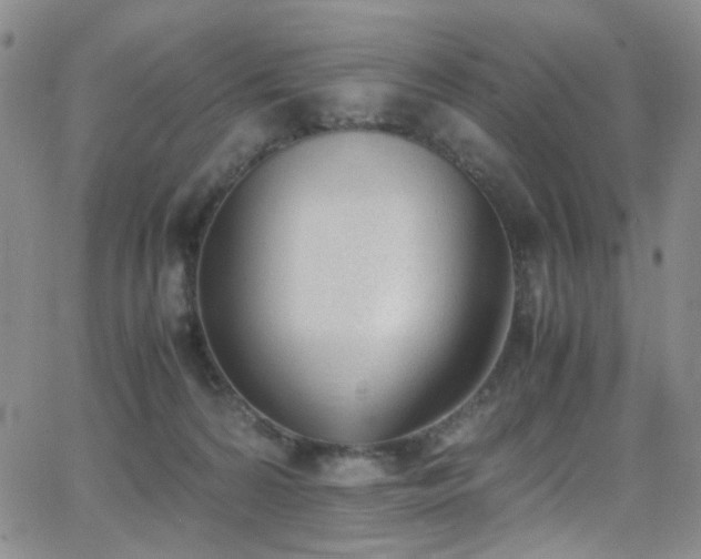 X0000062870224200601131449