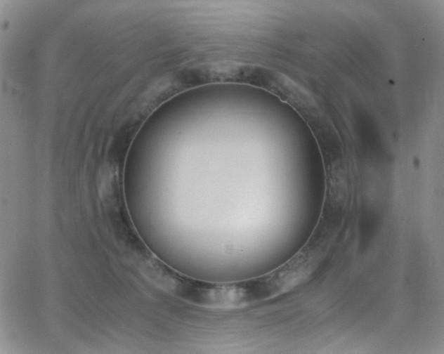 X0000062870225200601131449