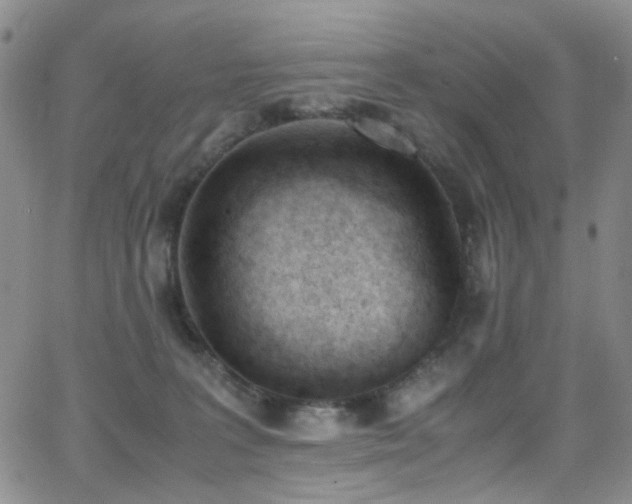 X0000062870227200601131449