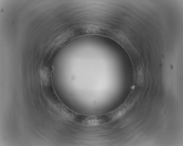 X0000062870228200601131449