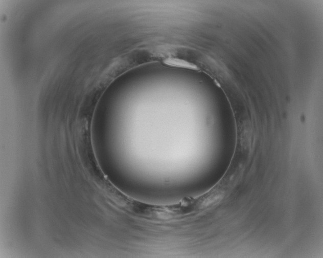 X0000062870229200601131449