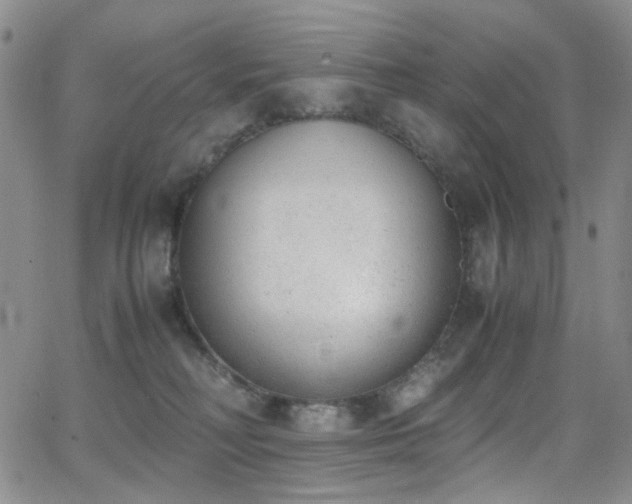 X0000062870230200601131449