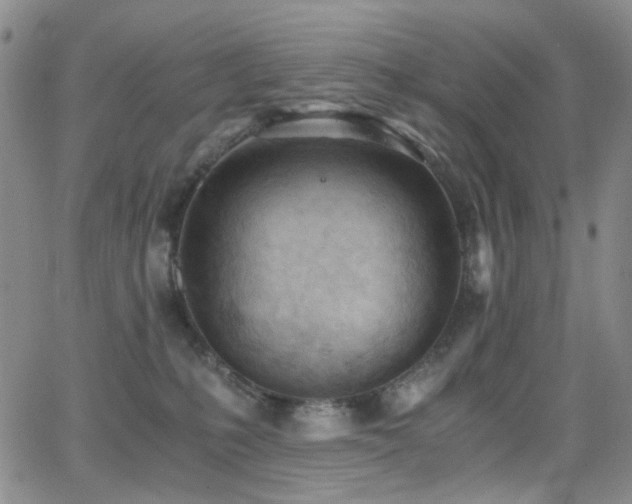 X0000062870231200601131449