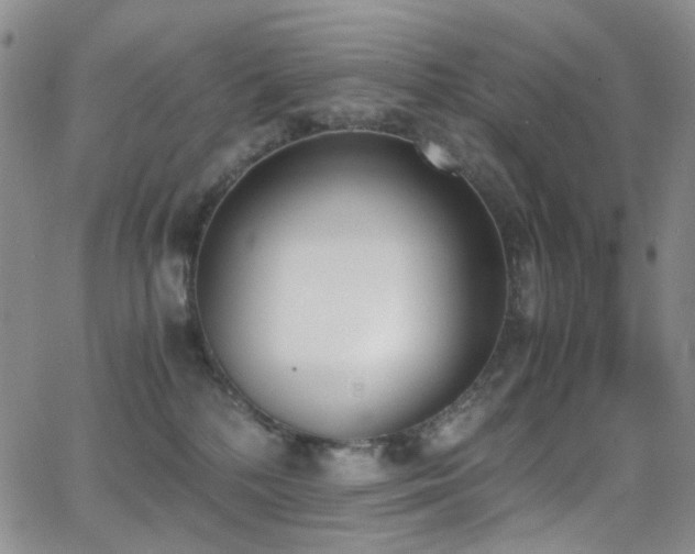 X0000062870232200601131449