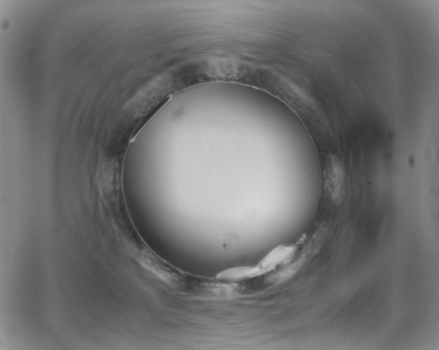 X0000062870233200601131449