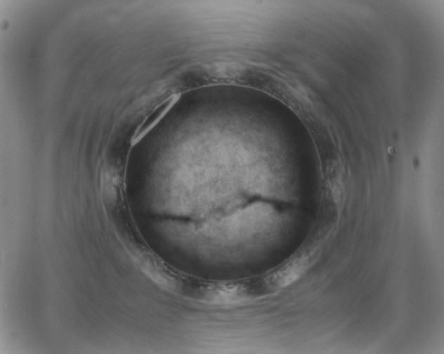 X0000062870235200601131449