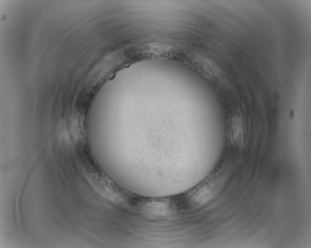 X0000062870236200601131449