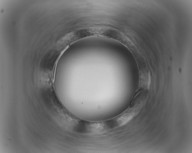 X0000062870237200601131449