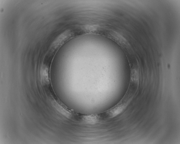 X0000062870238200601131449