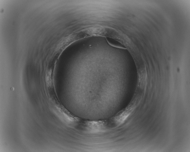 X0000062870239200601131449