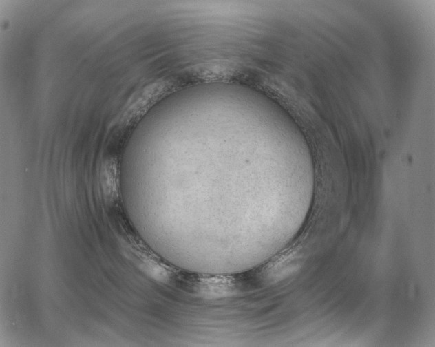 X0000062870240200601131449