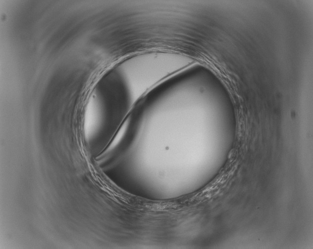 X0000062870241200601131448