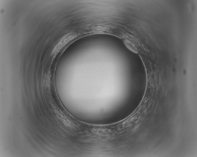 X0000062870242200601131448