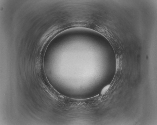 X0000062870243200601131448