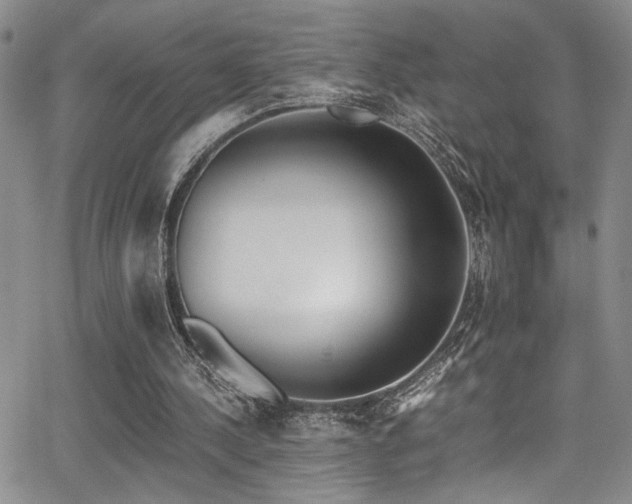 X0000062870244200601131448